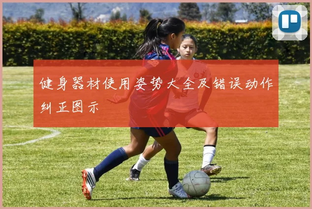 健身器材使用姿势大全及错误动作纠正图示