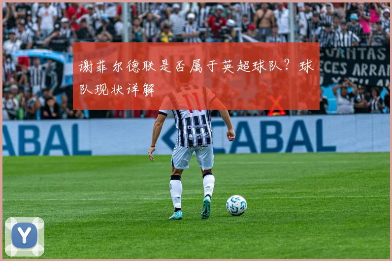 谢菲尔德联是否属于英超球队？球队现状详解