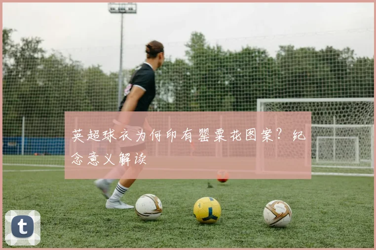 英超球衣为何印有罂粟花图案？纪念意义解读