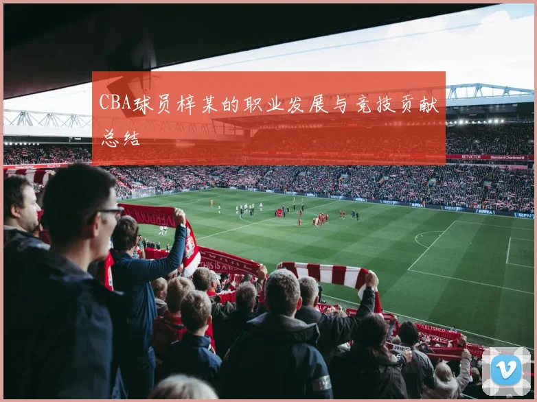 CBA球员梓某的职业发展与竞技贡献总结