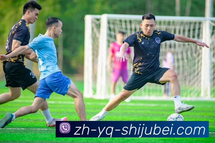 多媒体互动体验