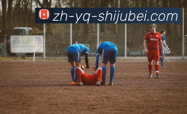 世界杯赛程表APP 高清赛事图