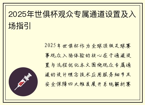 2025年世俱杯观众专属通道设置及入场指引